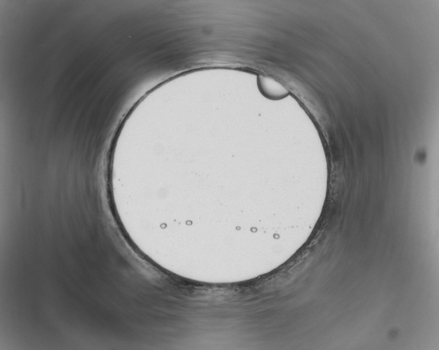 X0000116621187201001081225