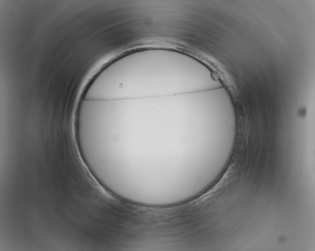 X0000116621188201001081225