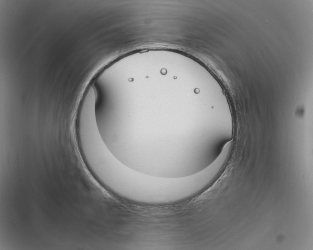 X0000116621189201001081225