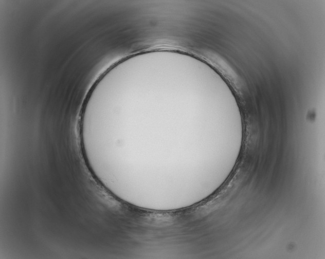 X0000116621190201001081225