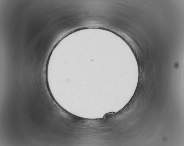 X0000116621191201001081225