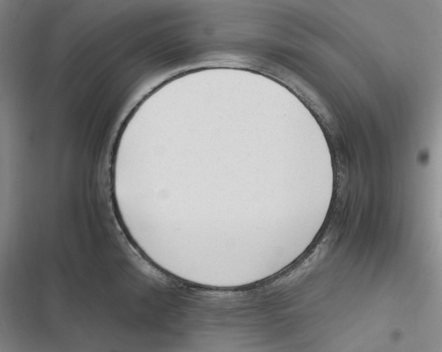 X0000116621192201001081225