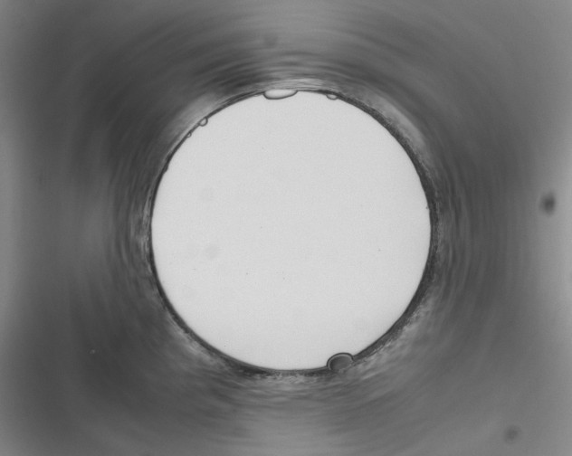 X0000116621193201001081225