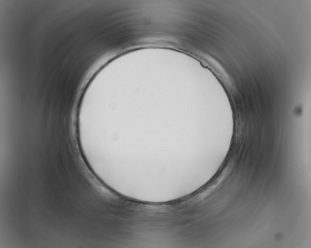 X0000116621196201001081225