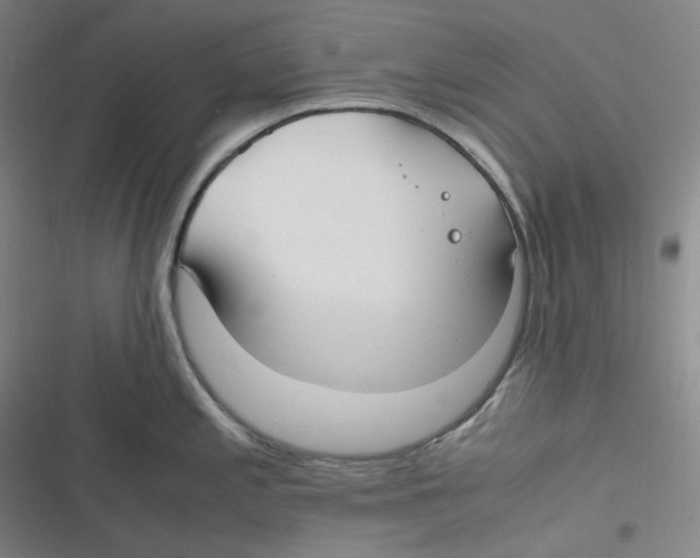 X0000116621197201001081225