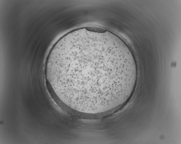 X0000116621200201001081225