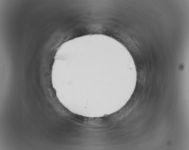 X0000116621201201001081224