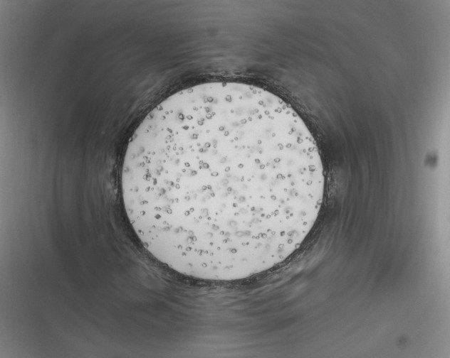 X0000116621202201001081224