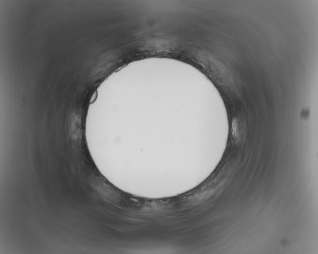 X0000116621203201001081224