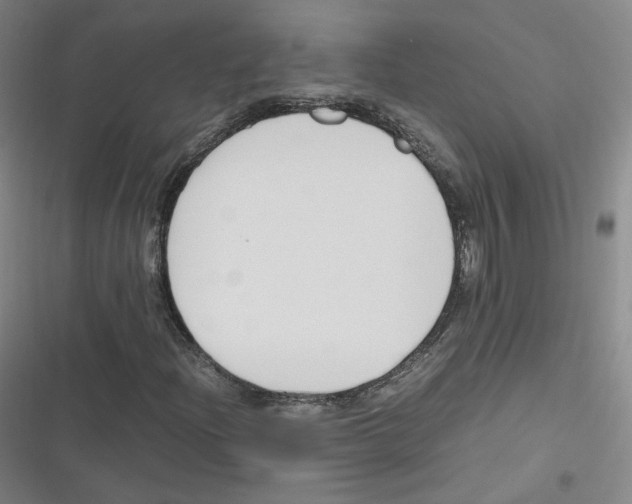 X0000116621204201001081224