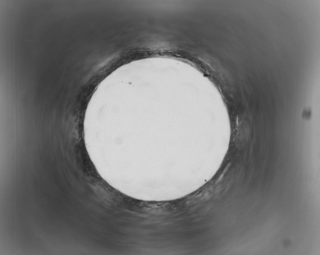 X0000116621205201001081224