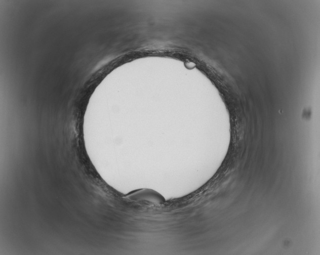 X0000116621206201001081224