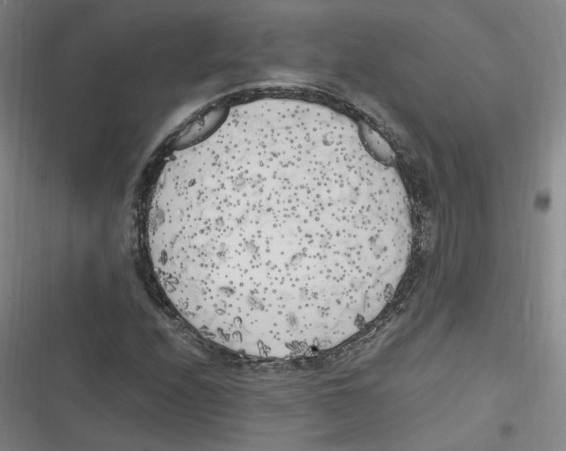 X0000116621208201001081224