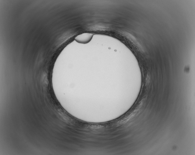 X0000116621209201001081224