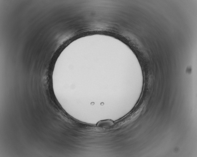 X0000116621210201001081224