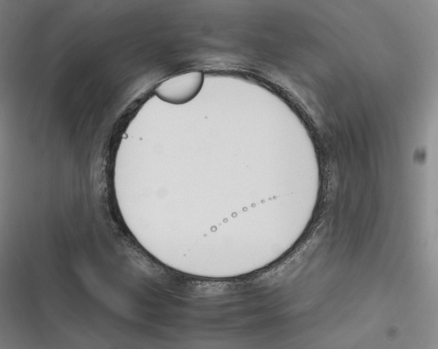 X0000116621211201001081224