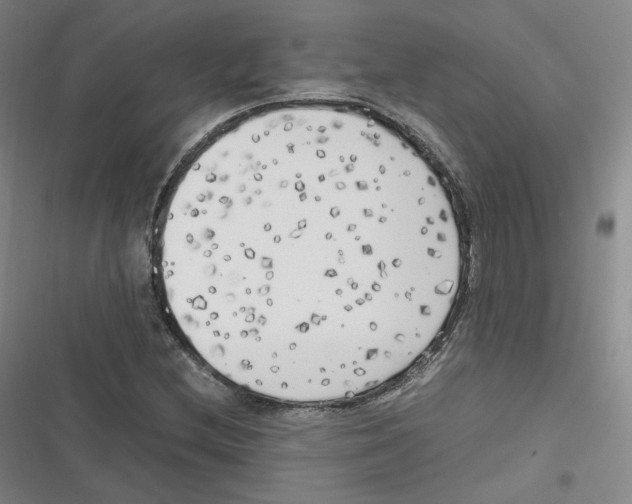 X0000116621212201001081224