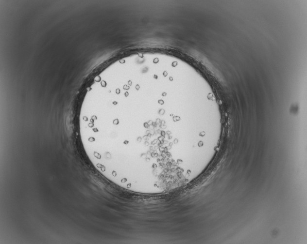 X0000116621213201001081224