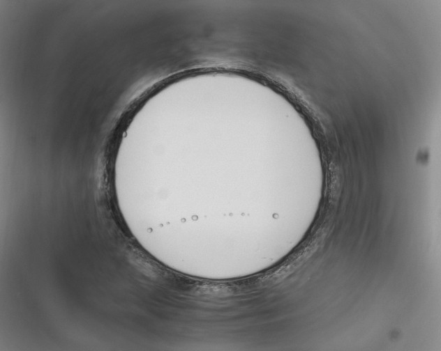 X0000116621215201001081224