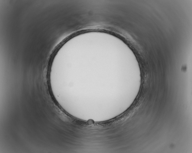 X0000116621216201001081225