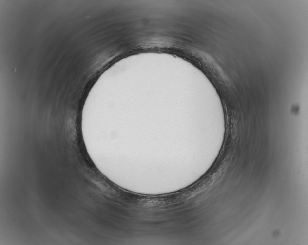 X0000116621217201001081225