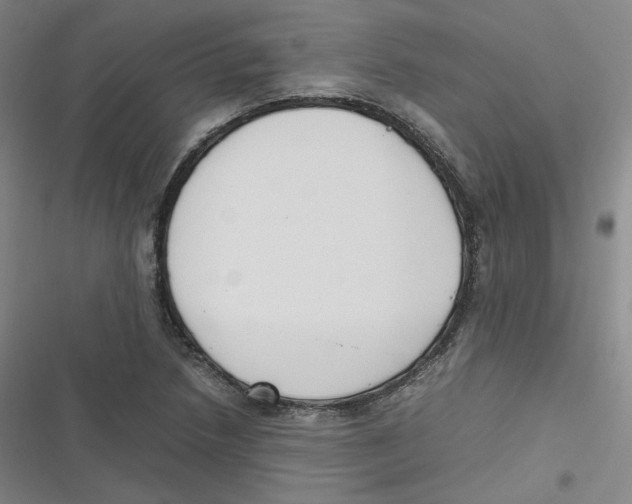 X0000116621218201001081225