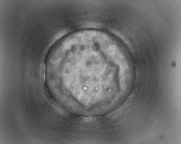 X0000116621219201001081225