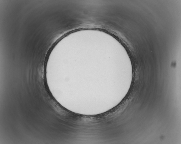 X0000116621220201001081225