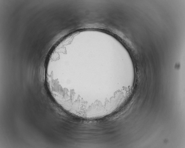 X0000116621221201001081225