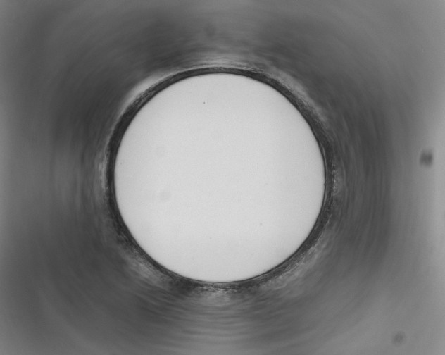 X0000116621222201001081225