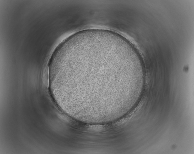 X0000116621223201001081225