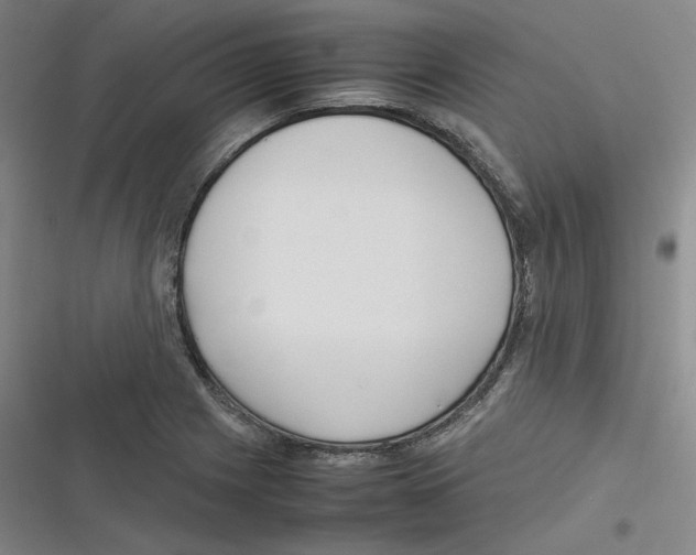 X0000116621225201001081225