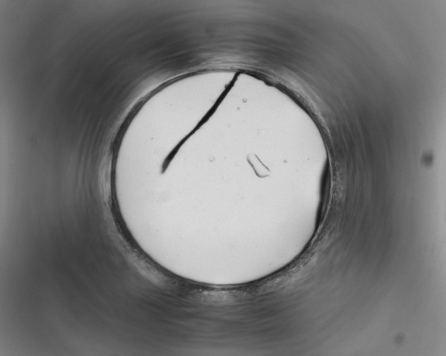 X0000116621227201001081225