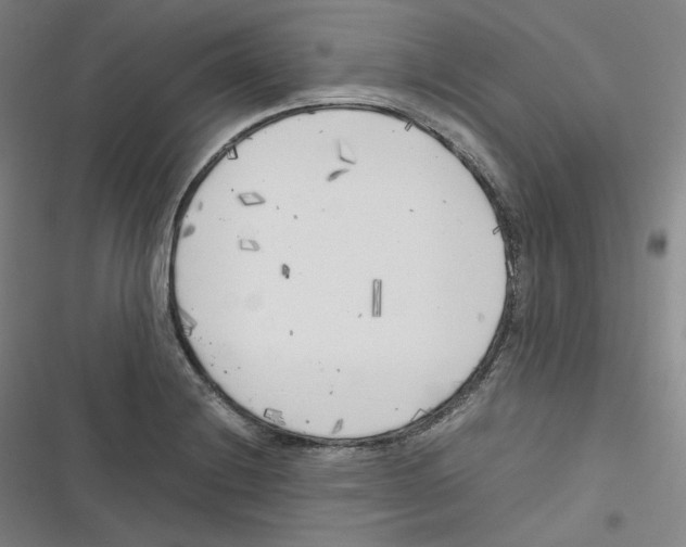 X0000116621228201001081225