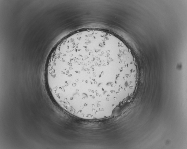 X0000116621229201001081225