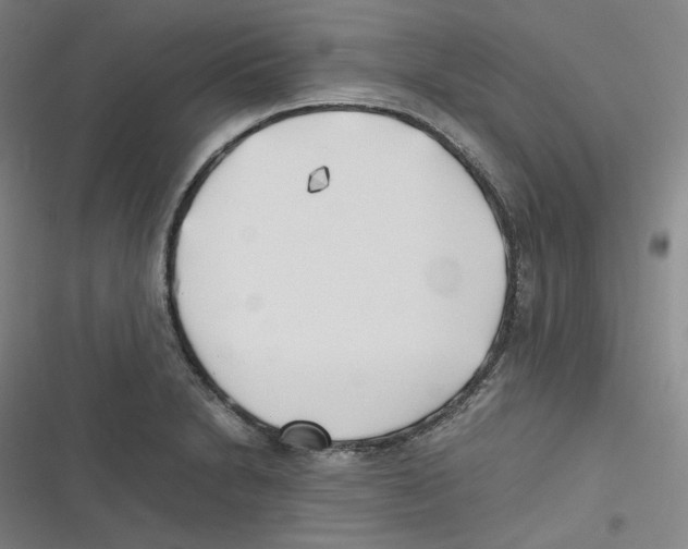 X0000116621230201001081225