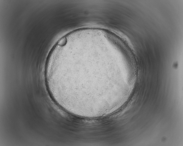 X0000116621231201001081225