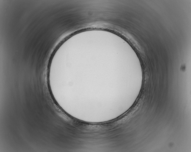 X0000116621232201001081225