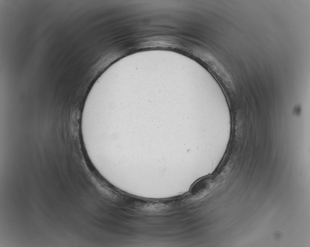 X0000116621233201001081225