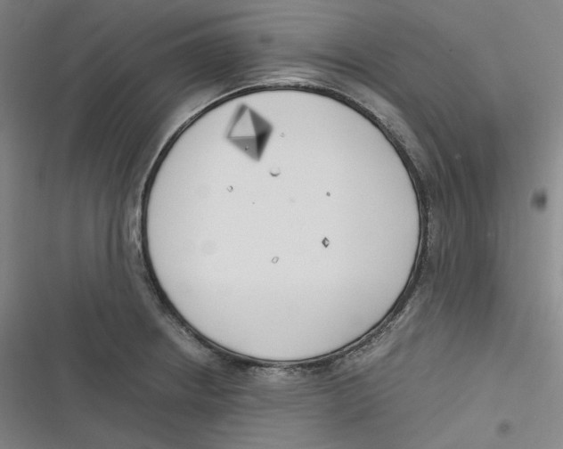 X0000116621234201001081225