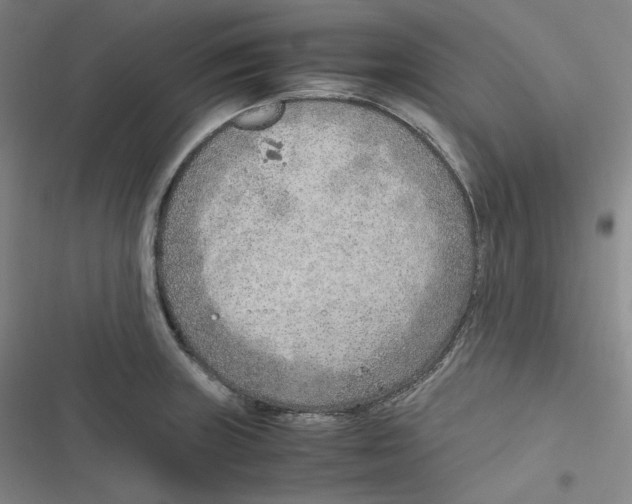 X0000116621235201001081225