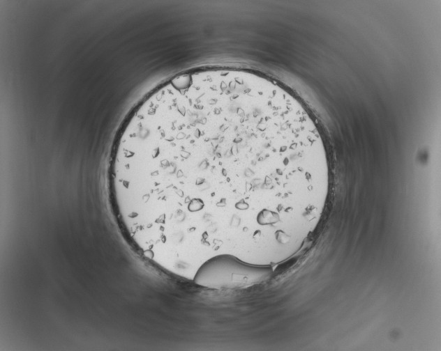 X0000116621237201001081225