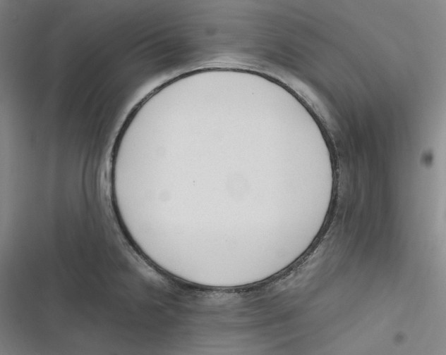 X0000116621238201001081225