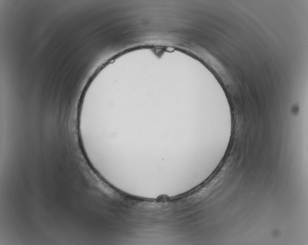 X0000116621240201001081225