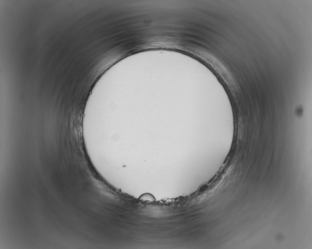 X0000116621241201001081225