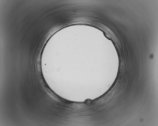 X0000116621242201001081225