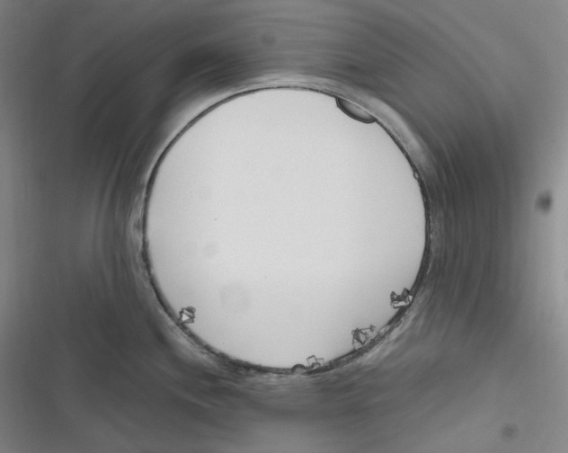 X0000116621244201001081225