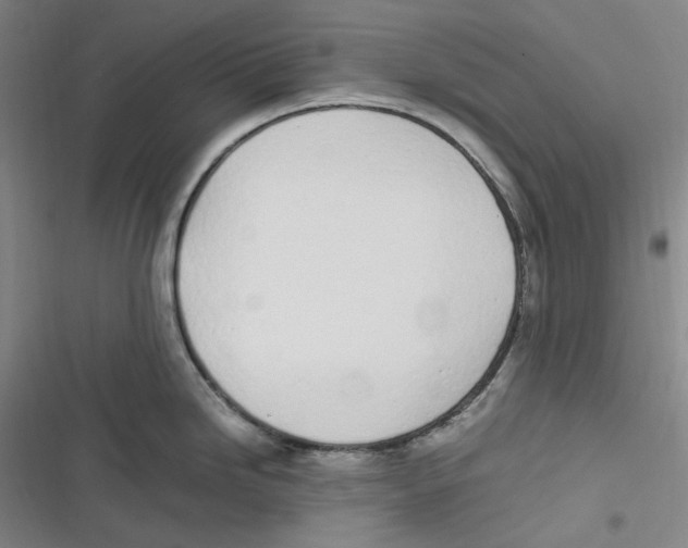 X0000116621246201001081225