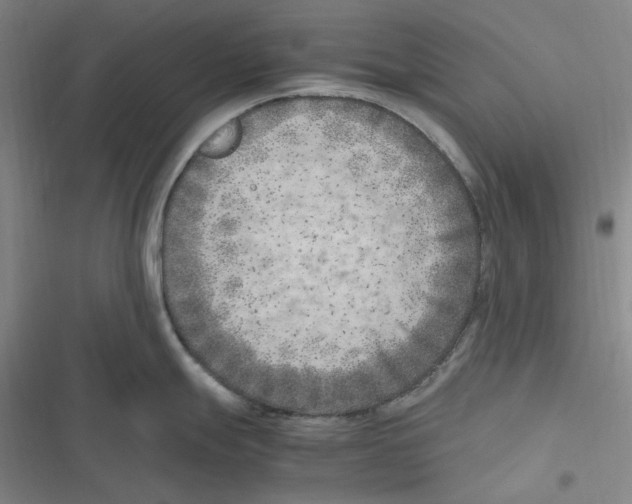 X0000116621247201001081225