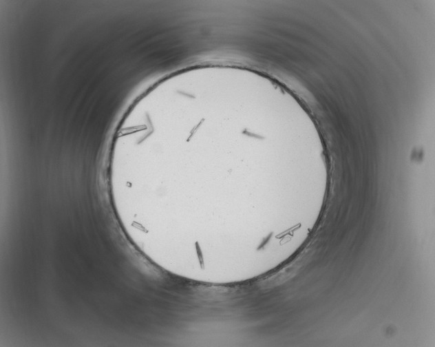 X0000116621248201001081225